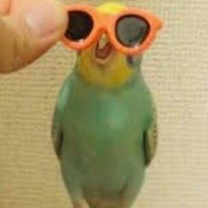 Meet your Posher, Alvaro